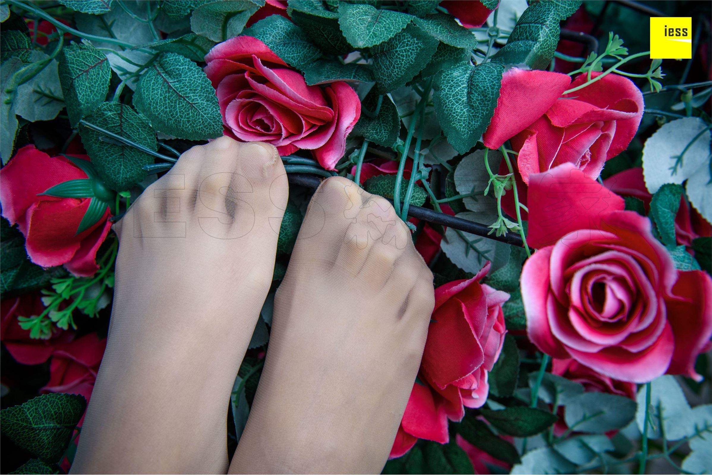 [IESS异思趣向]2018-02-01 No.161婉萍《玫瑰与肉丝》